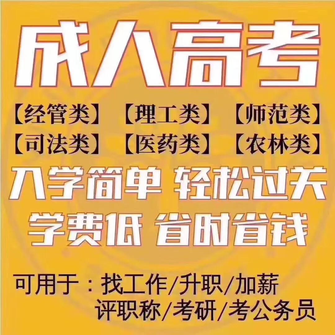 自学成人高考的挑战与机遇，难吗？探索自学之路！