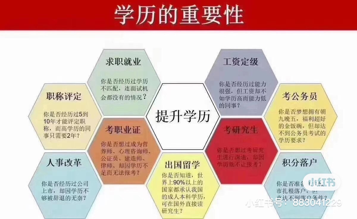 成人教育热门专业排名榜，洞悉当下趋势与未来发展方向的热门专业概览