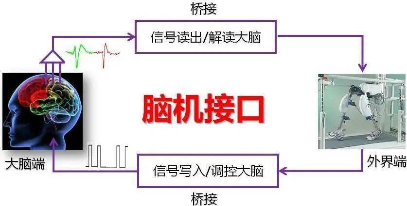 脑机接口技术的应用及其伦理挑战探讨