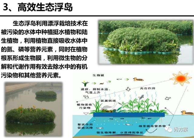 多地水环境治理优化，河流生态显著改善