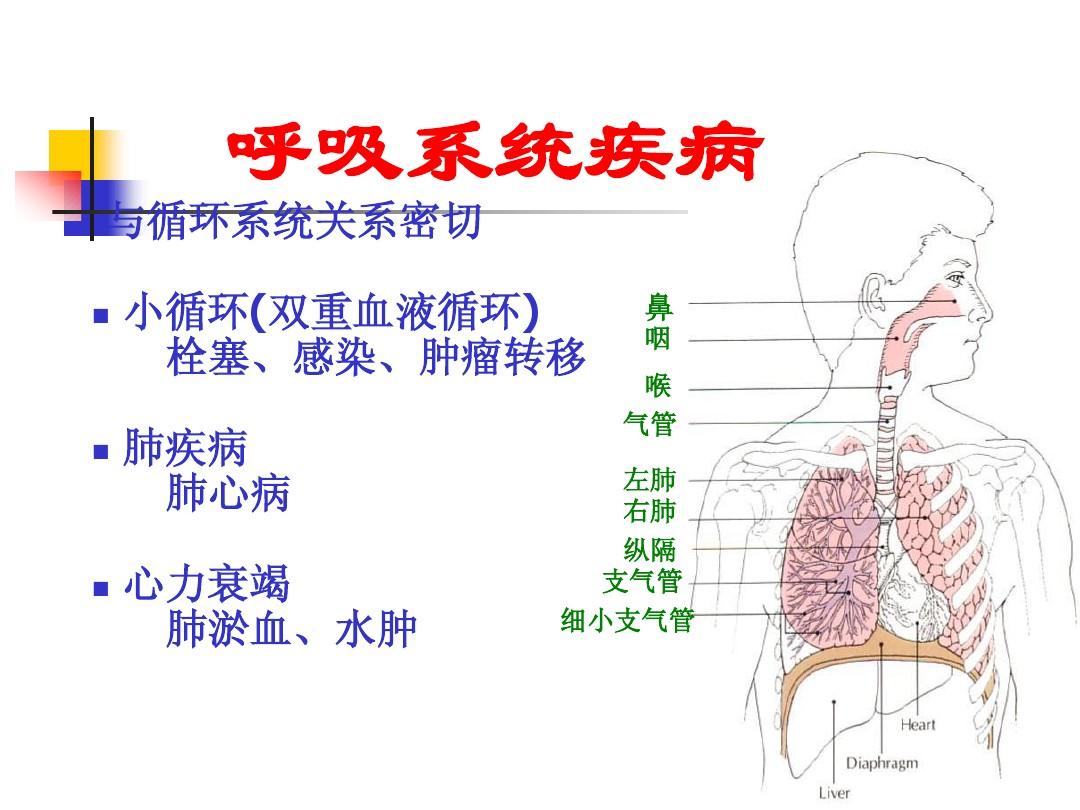 中医呼吸系统养生法，调理呼吸系统的健康之道