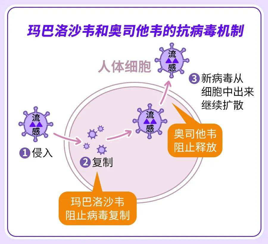 玛巴洛沙韦需求激增超200%，市场趋势、原因解析与应对策略分析