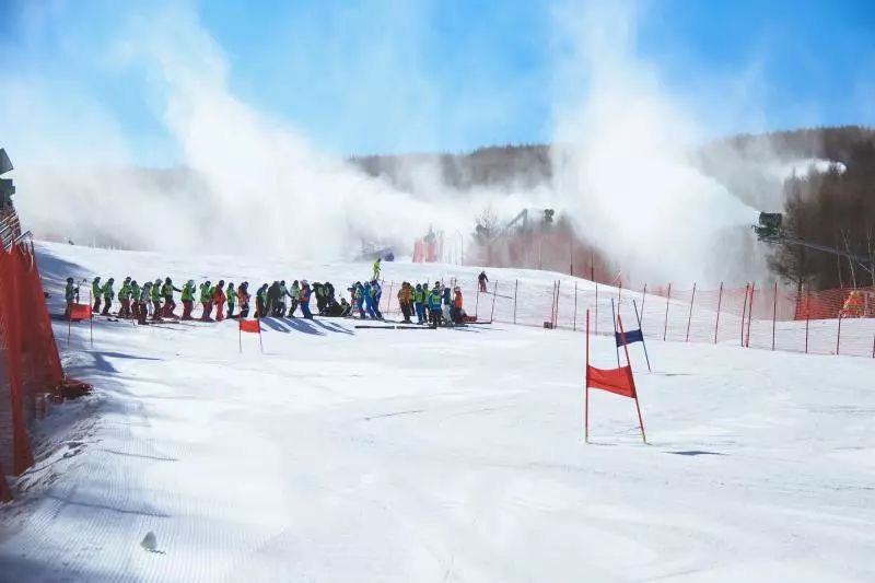 张家口雪场孩童坠落事件，警示与反思的警钟